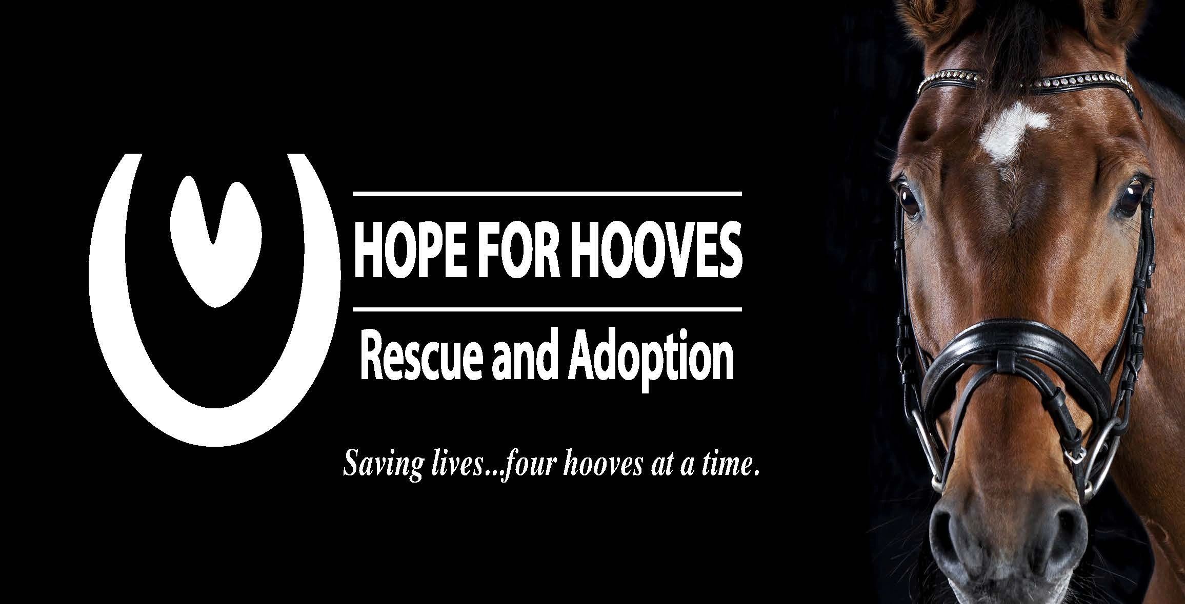 Hope for Hooves Rescue and Adoption